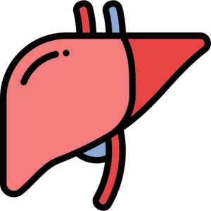Hepatologist
