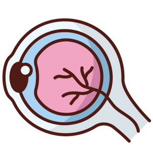 Ophthalmology