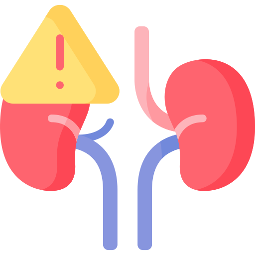 Kidney Health